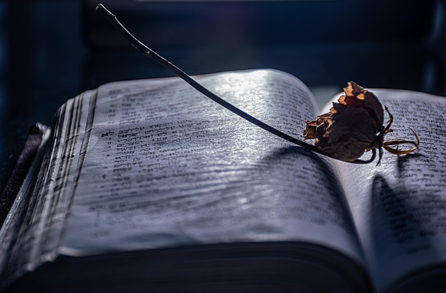 books about freelancing and client communication